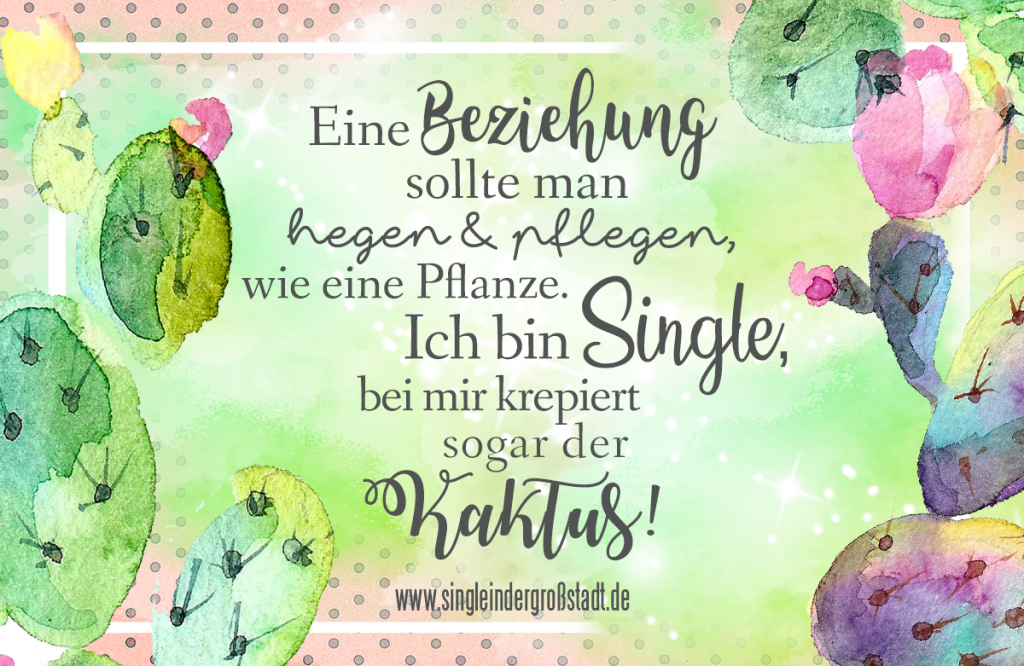 Eine Beziehung sollte man hegen und pflegen, wie eine Pflanze. Ich bin Single, bei mir krepiert sogar der Kaktus.