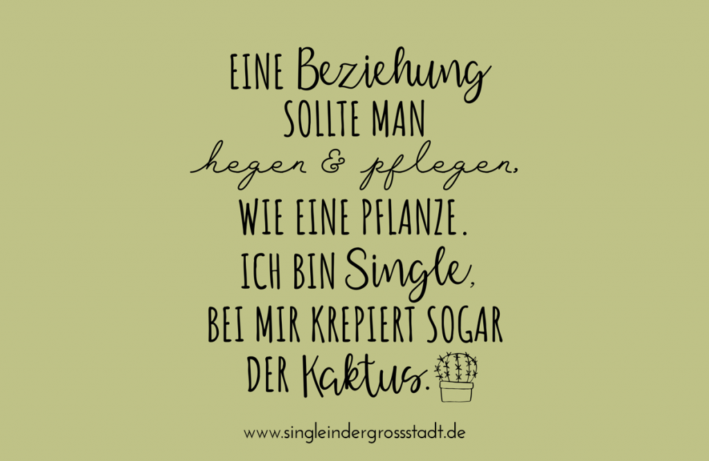Beziehungen, Pflanzen, Single & Kaktus