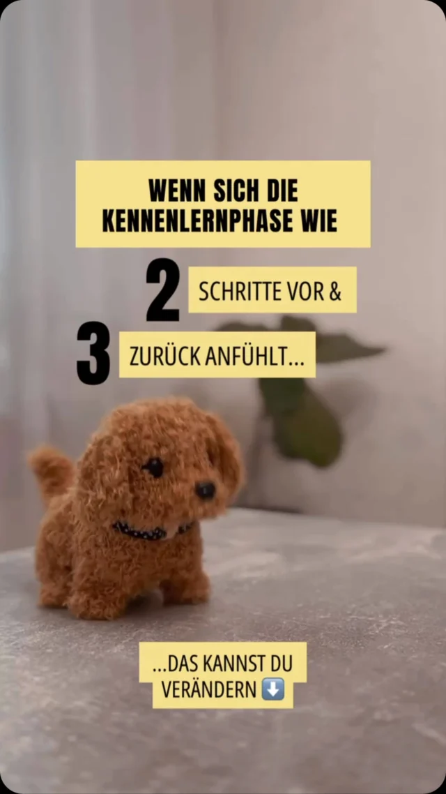 Dieses Auf & Ab ist nicht nur verwirrend – es ist emotional kräftezehrend.

Der Hund ist kaputt und die Kennenlernphase macht einen kaputt.

Mal ist da Nähe, dann plötzlich Rückzug. Du fühlst dich unsicher, analysierst jedes Detail, verlierst die Leichtigkeit.

Warum passiert das?
🔹 Bindungsmuster: Menschen mit unsicherem Bindungsstil schwanken zwischen Nähe & Distanz.
🔹 Unklarheit: Fehlende Kommunikation über Absichten.
🔹 Emotionale Unerreichbarkeit: Die andere Person ist (unbewusst) nicht bereit für echte Nähe.

Wichtig: Es liegt nicht an dir.
Du tust nicht „zu viel“ oder „zu wenig“. Du reagierst auf ein inkonsistentes Verhalten, das Vertrauen erschwert.

Was du jetzt tun kannst (2 Schritte):
➡️Pause & Klarheit: Frag dich: Was wünsche ich mir in einer Beziehung? Fühle ich mich hier sicher & gesehen?
➡️Grenzen setzen: Wenn das Verhalten dich dauerhaft verunsichert – sprich es offen an oder zieh dich bewusst für dich und dein Nervensystem zurück.

Du darfst dir eine Verbindung wünschen, die klar, stabil & zugewandt ist.

Nicht alles, was sich intensiv anfühlt, ist auch gesund.

Wenn DISTANZ sich für dich immer unangenehm anfühlt, dann habe ich für dich mein kostenloses Workbook 📕 

„Nähe & Distanz: Verstehen. Fühlen. Grenzen setzen.“

Wie du es bekommst? 💁🏼‍♀️ Schreibe unterm Reel - NÄHE & DISTANZ und ich sende es dir zu ❤️

Von den Hunden gibt es drei, die anderen beiden laufen normal, nur der hier dreht sich im Kreis, das kam mir irgendwie bekannt vor 😘